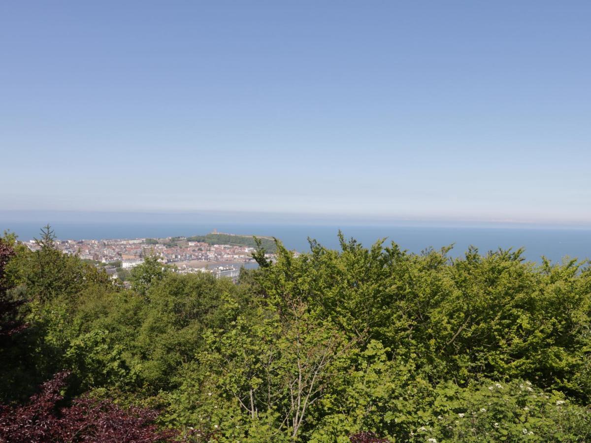 Carisbrooke *